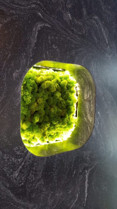 Corian® COSMOS PRIMA NICHE
