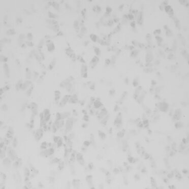 Polygood FROST