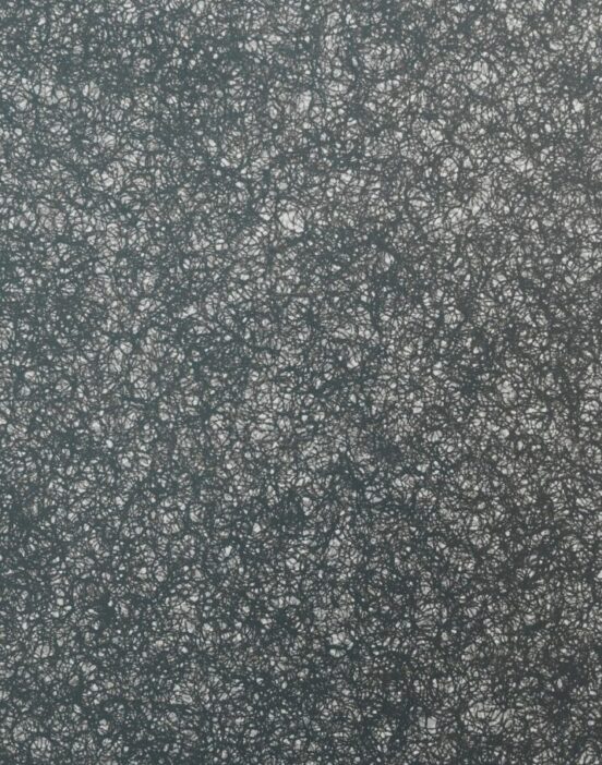 Polygood PUMICE
