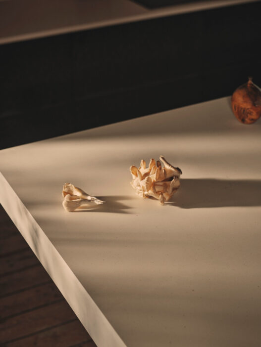 Elenite - ASHBEE BEIGE