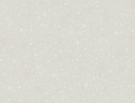 Artic Granite